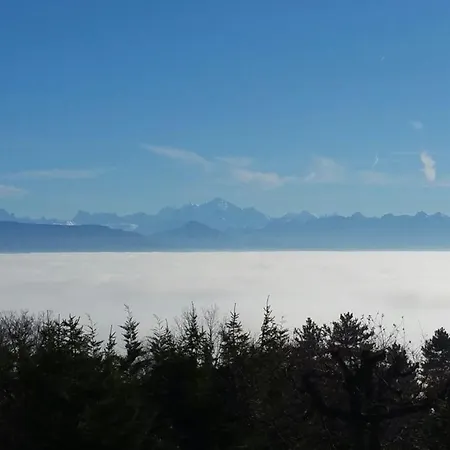 Cozy Close To Cern, Geneva Airport, Un *